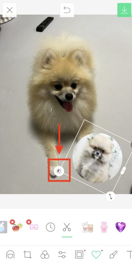 画像を半透明にする方法（LINEカメラ）
